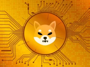 shiba inu